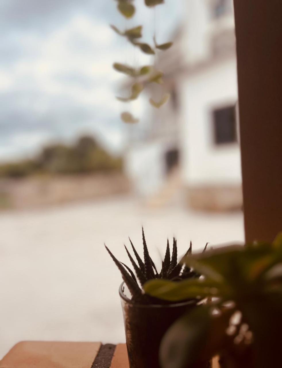 Quinta Jr - Casa De Campo Carregal  Exterior photo